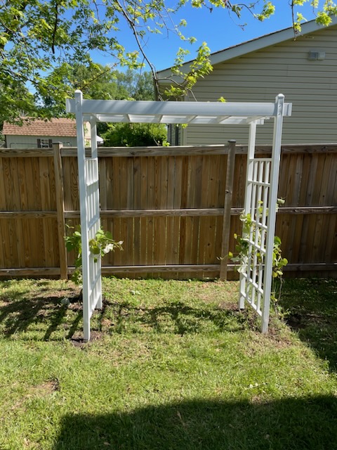 Before & After Arbor - Ms. Fixit