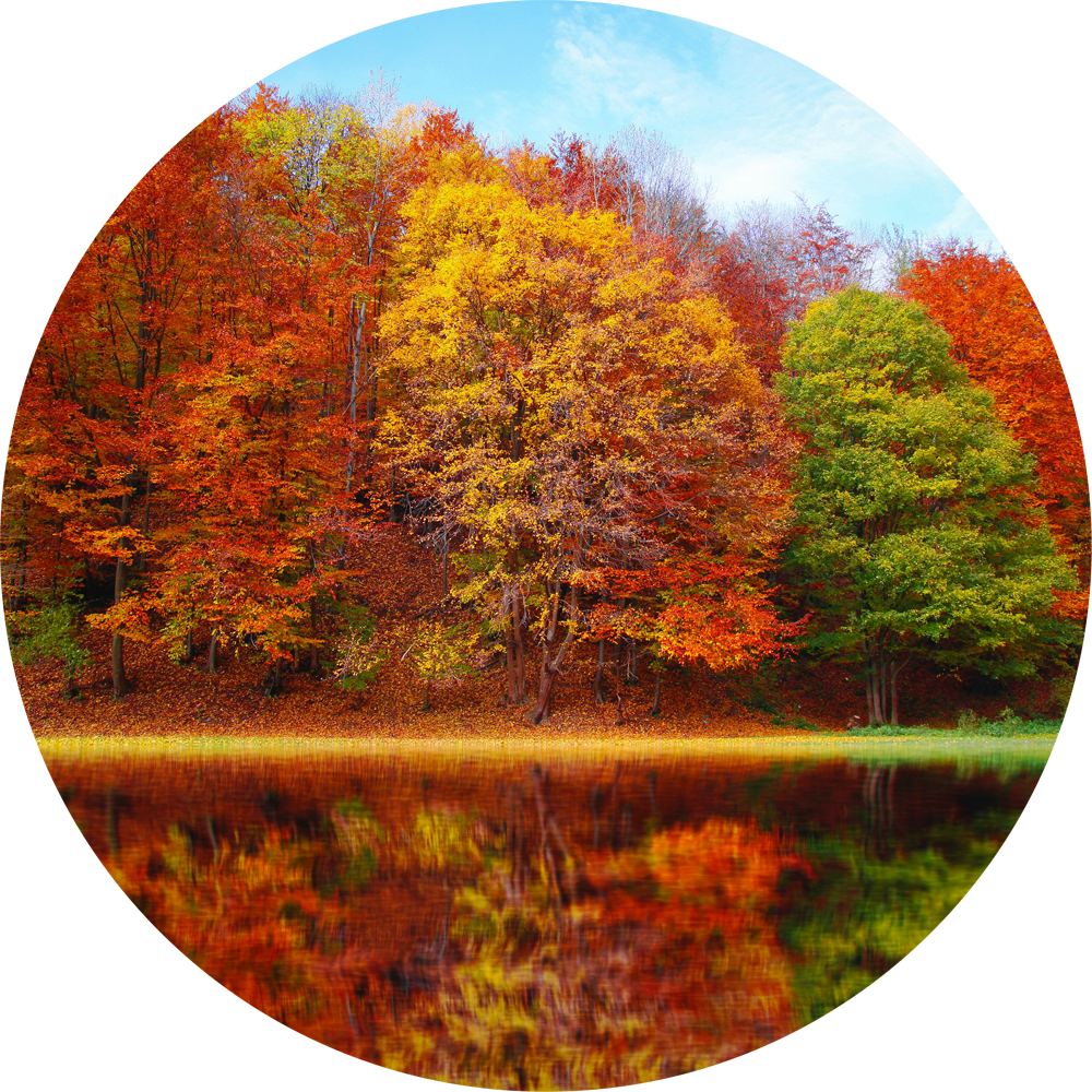 autumn