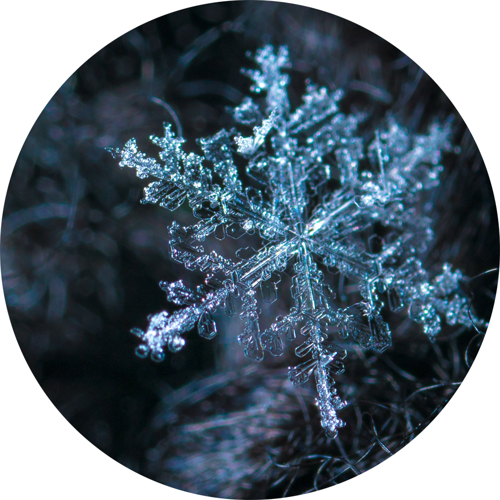 winter